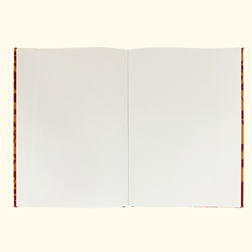 diarycover_30_May